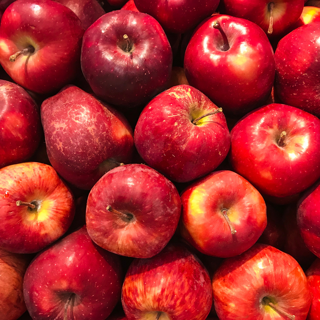 can rabbit eat apples?