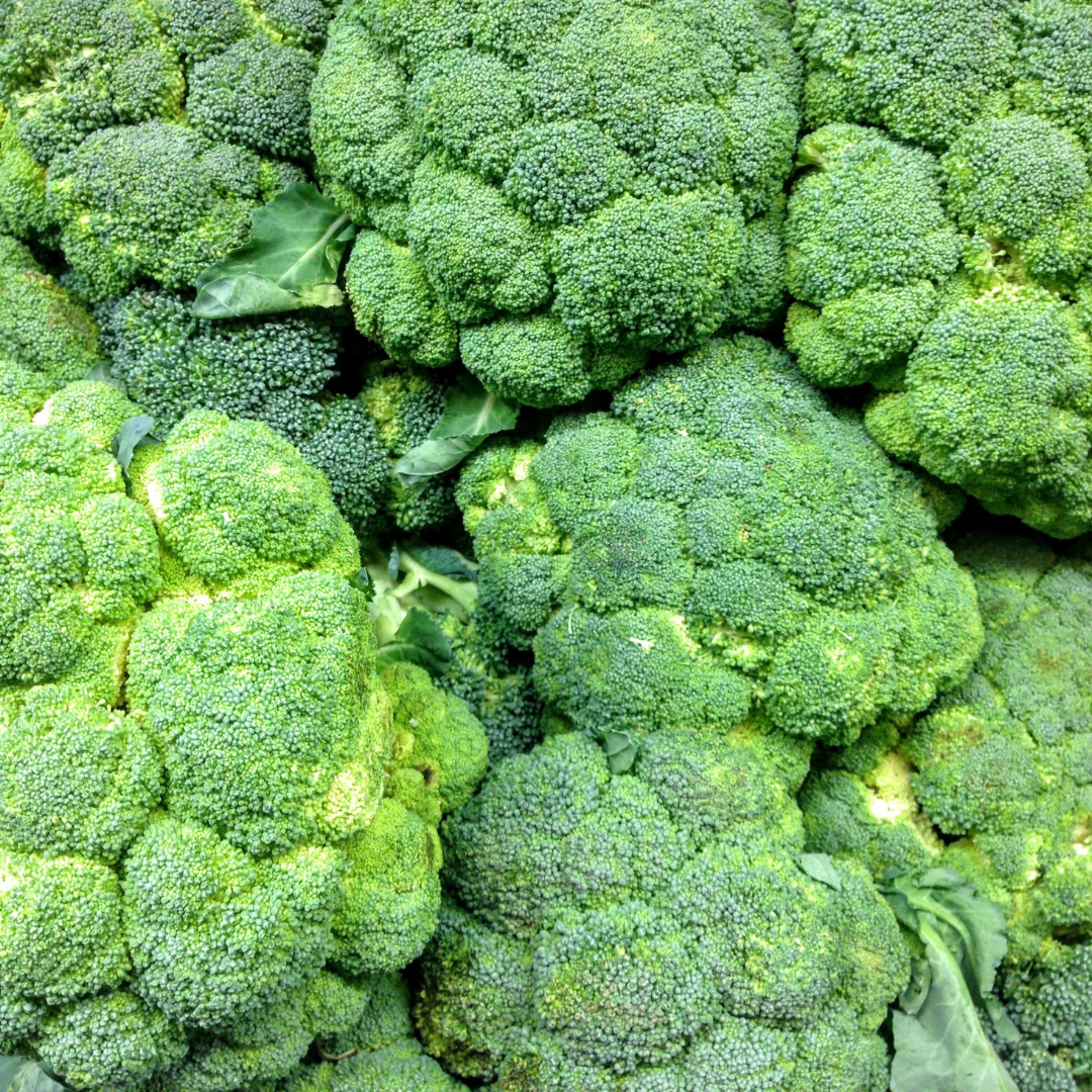 can rabbit eat broccoli?