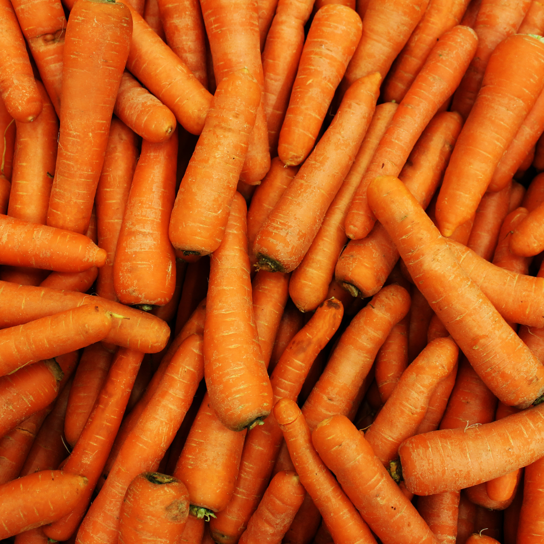 can rabbit eat carrot?
