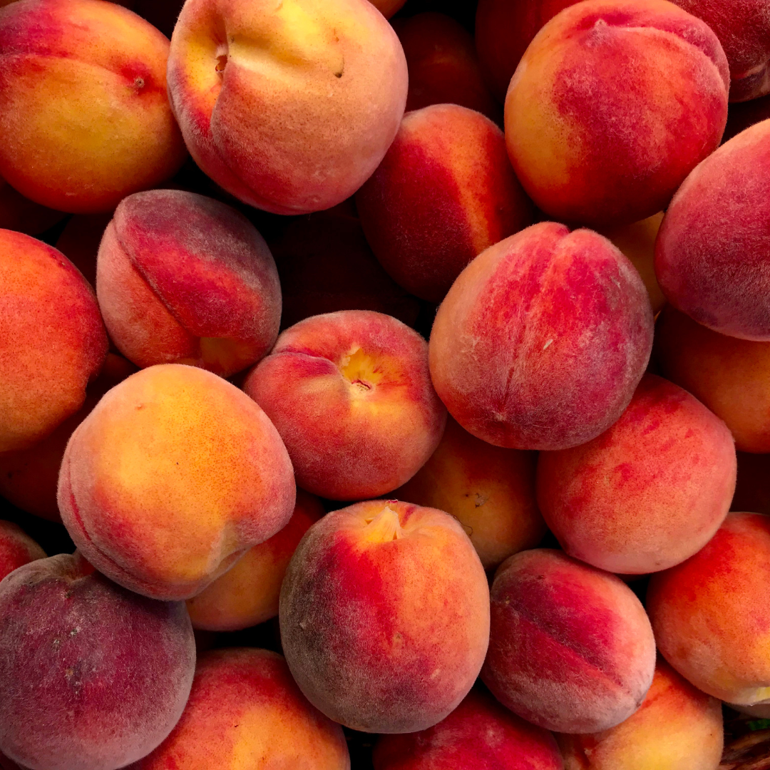can rabbit eat peaches?