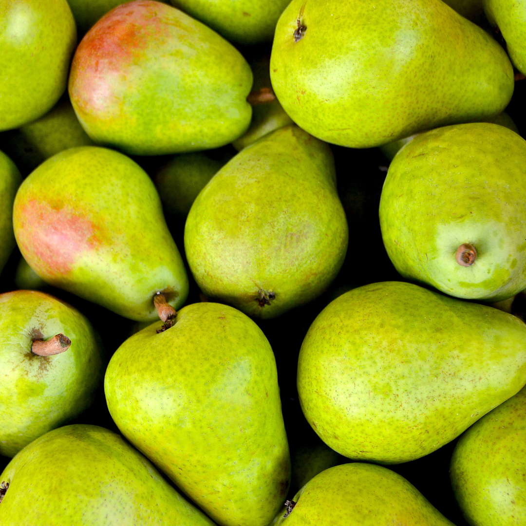 Can rabbit eat pear?