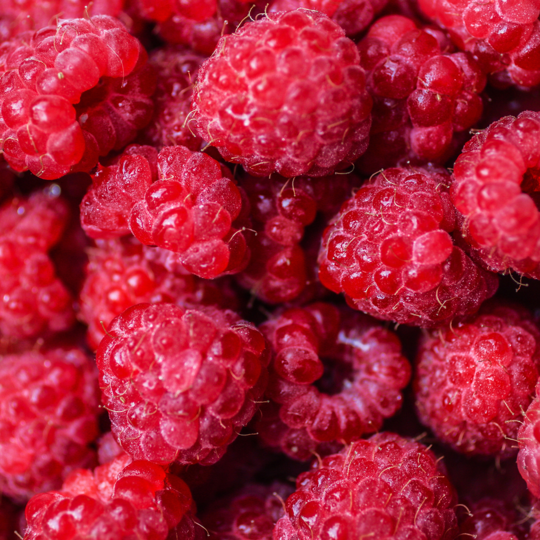 Can rabbit eat raspberry?