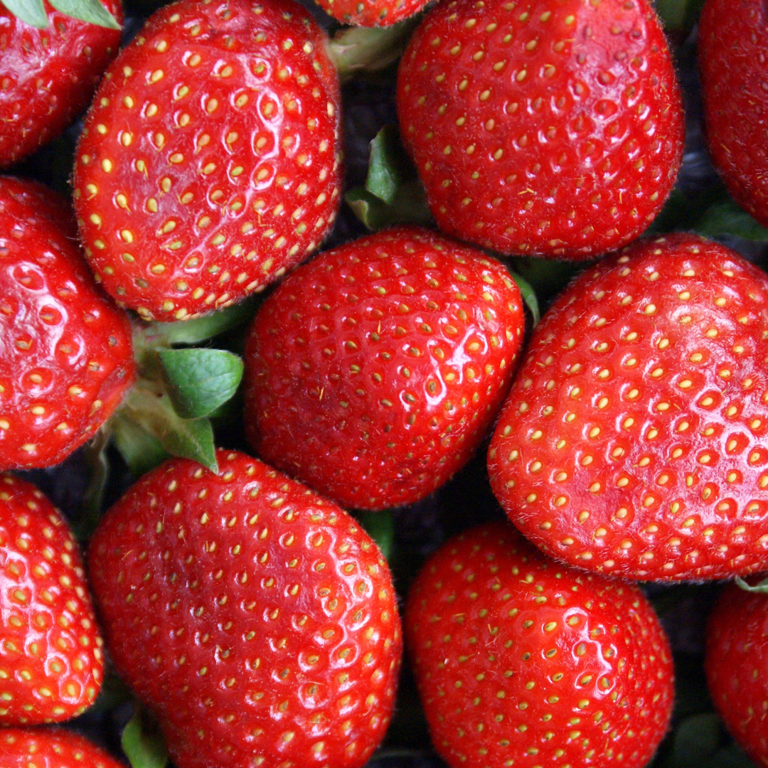can rabbit eat strawberry?
