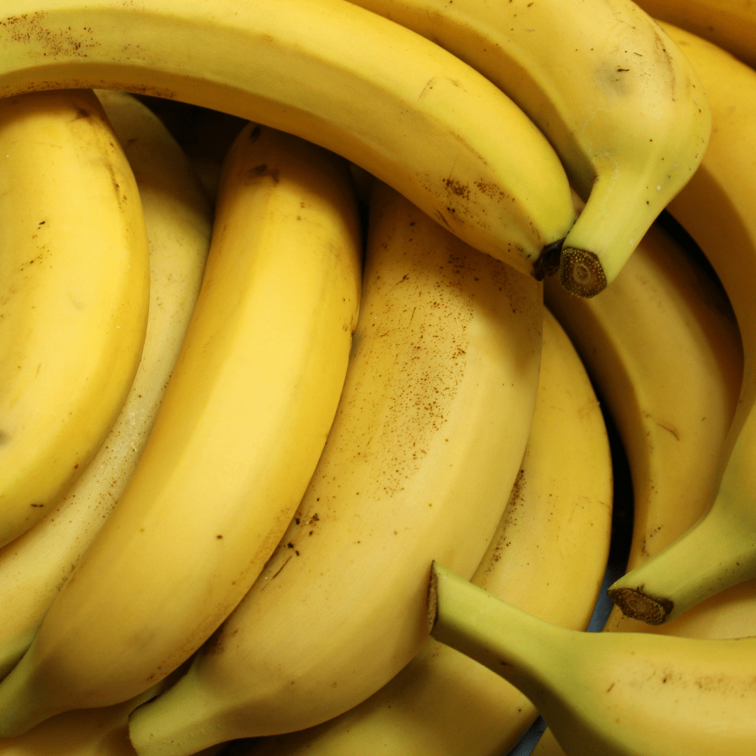 Can Rabbits Eat Bananas? - Twigs & Burrows