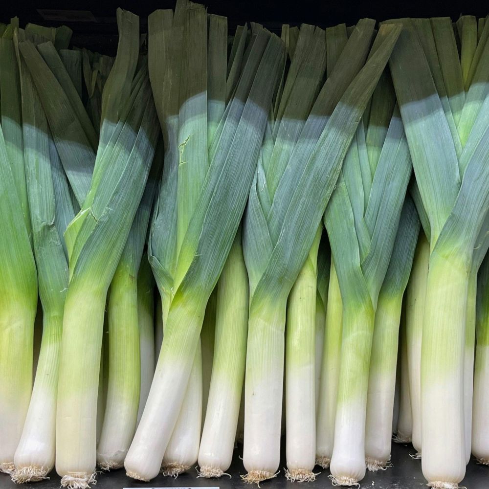 Can Rabbits Eat Leeks? - Twigs & Burrows