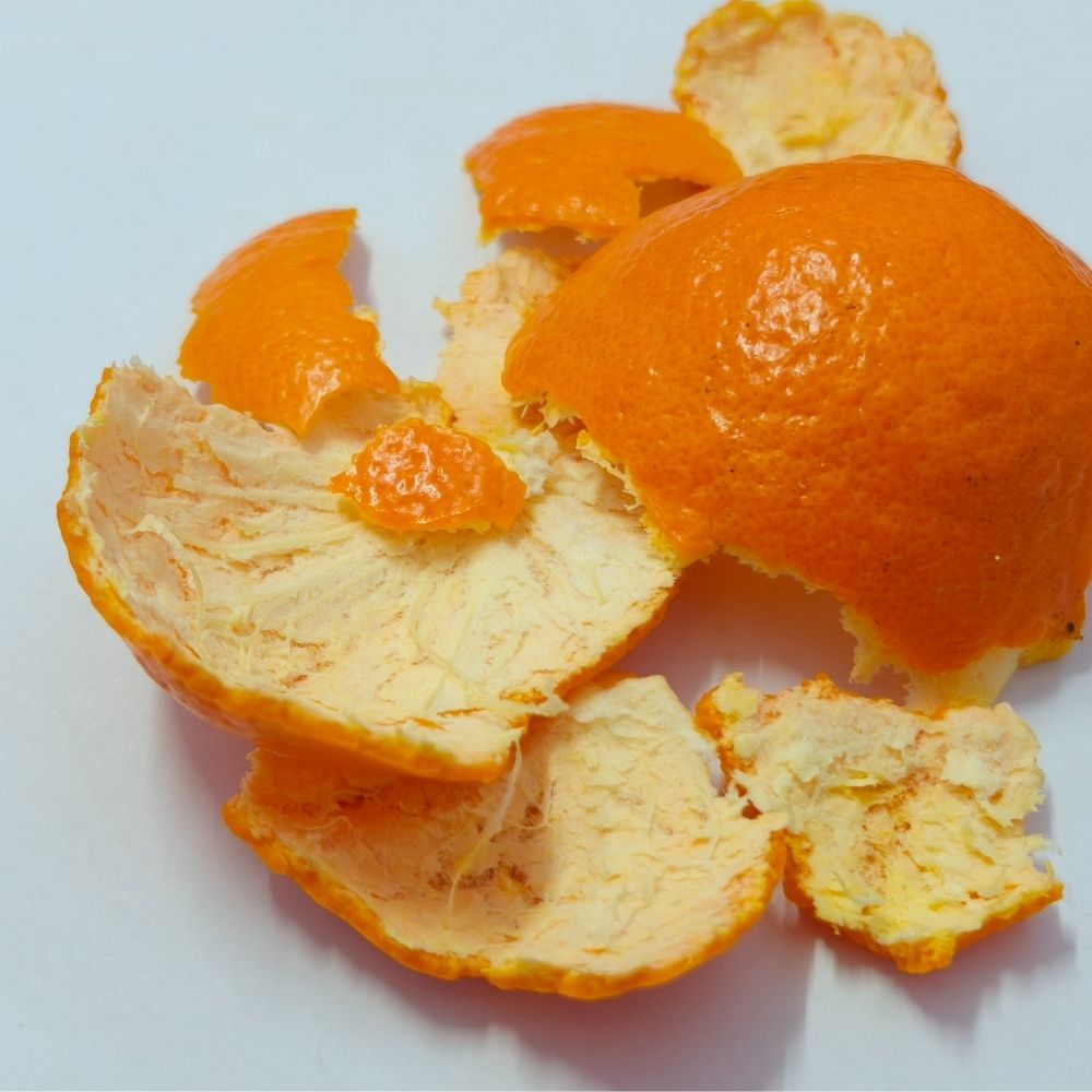 Can Rabbits Eat Orange Peel? - Twigs & Burrows