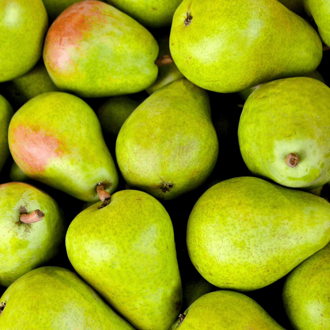 Can Rabbits Eat Pears? - Twigs & Burrows