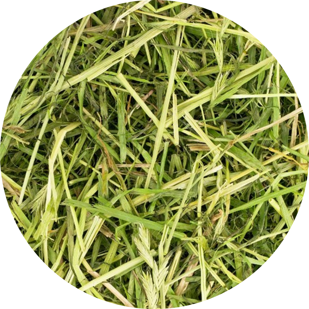 Hay & Grasses