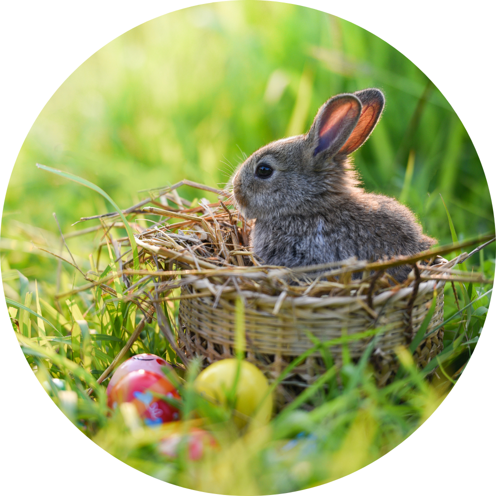 Seasonal Gift Hampers