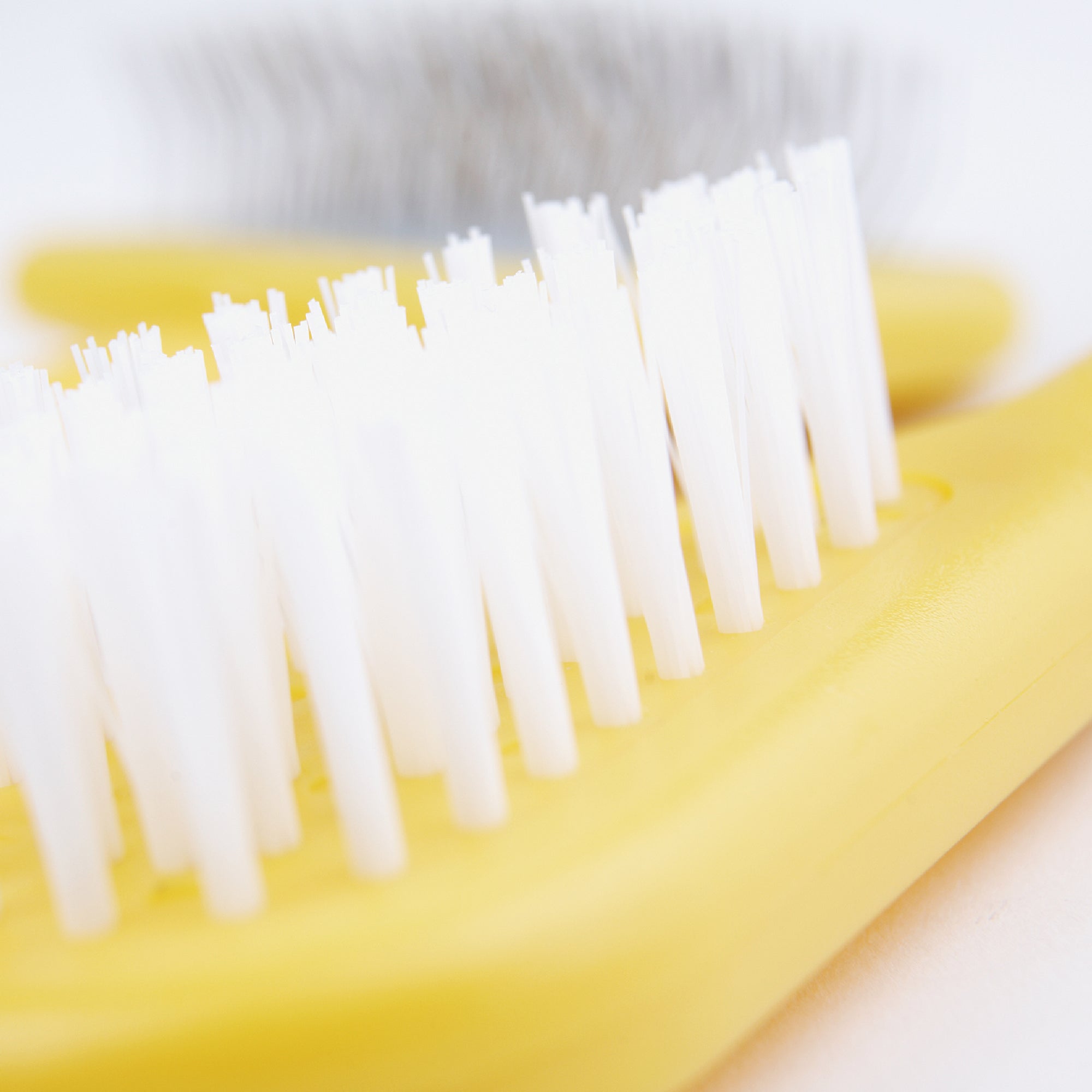 Bristle Brush – Gentle Grooming for Small Animals