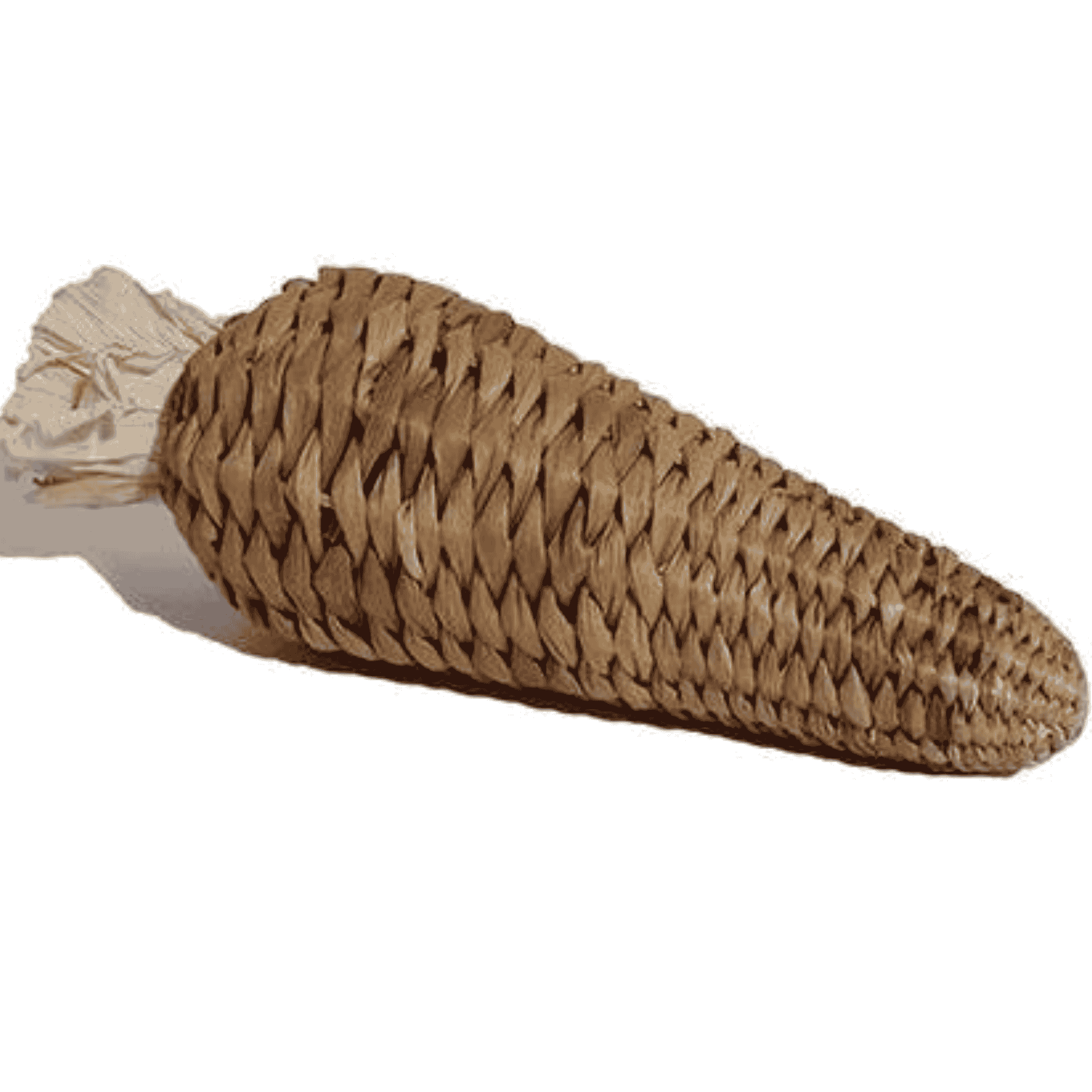 Banana Leaf Carrot Stuffer Toy