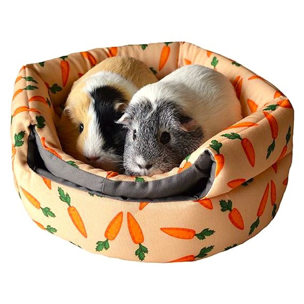Carrot 'Beehive' 2 in 1 Bed