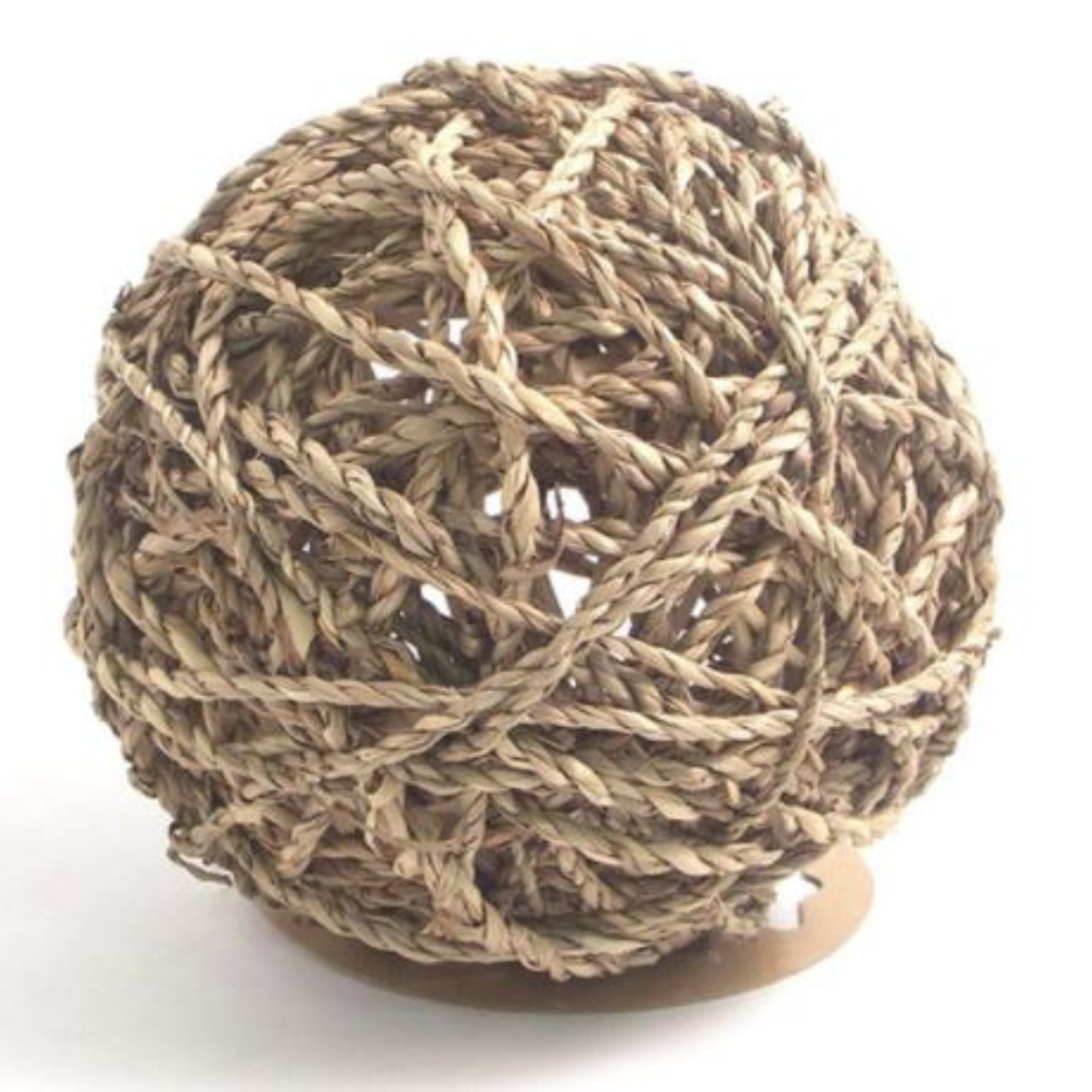 Seagrass Fun Ball