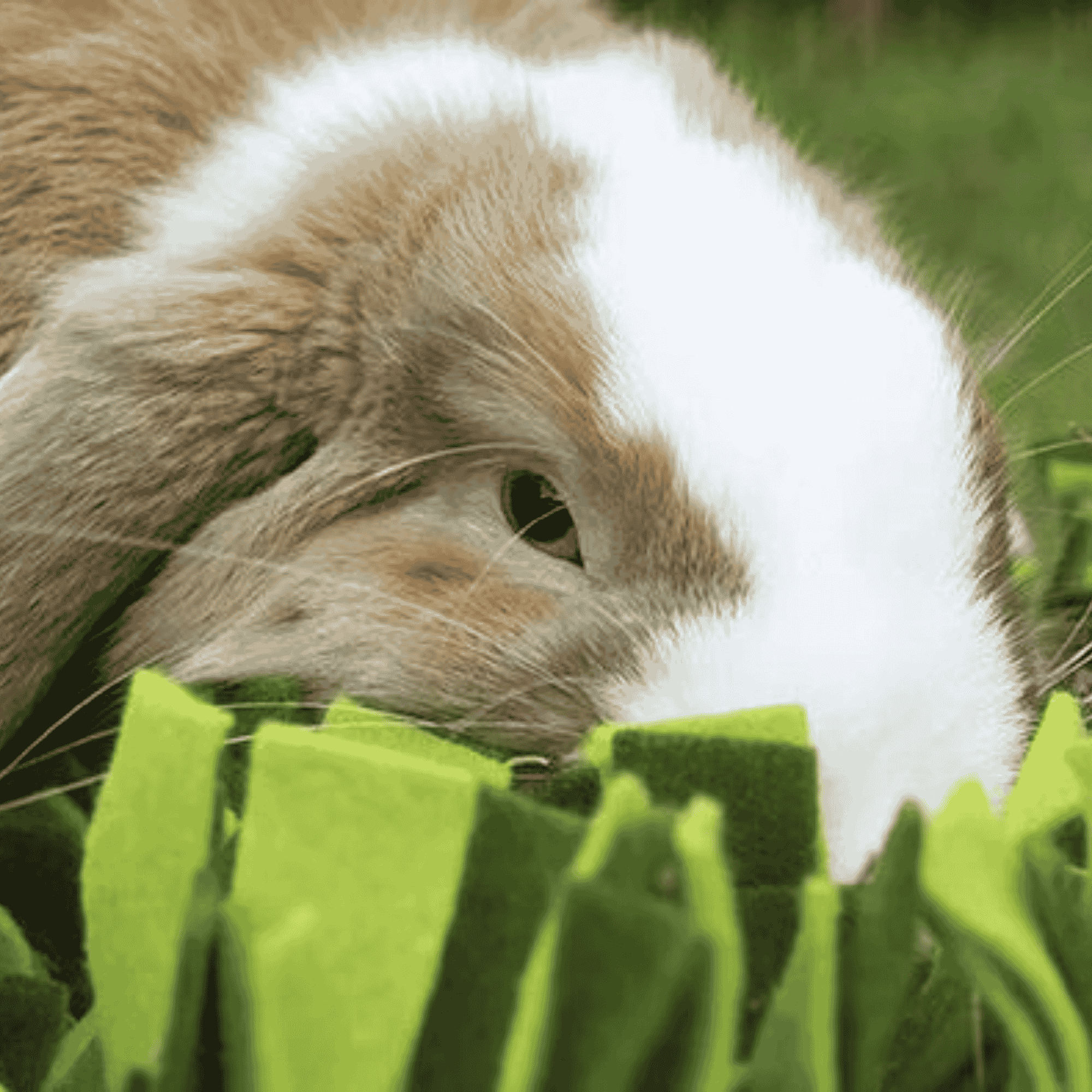 Snuffle Forage Mat toys