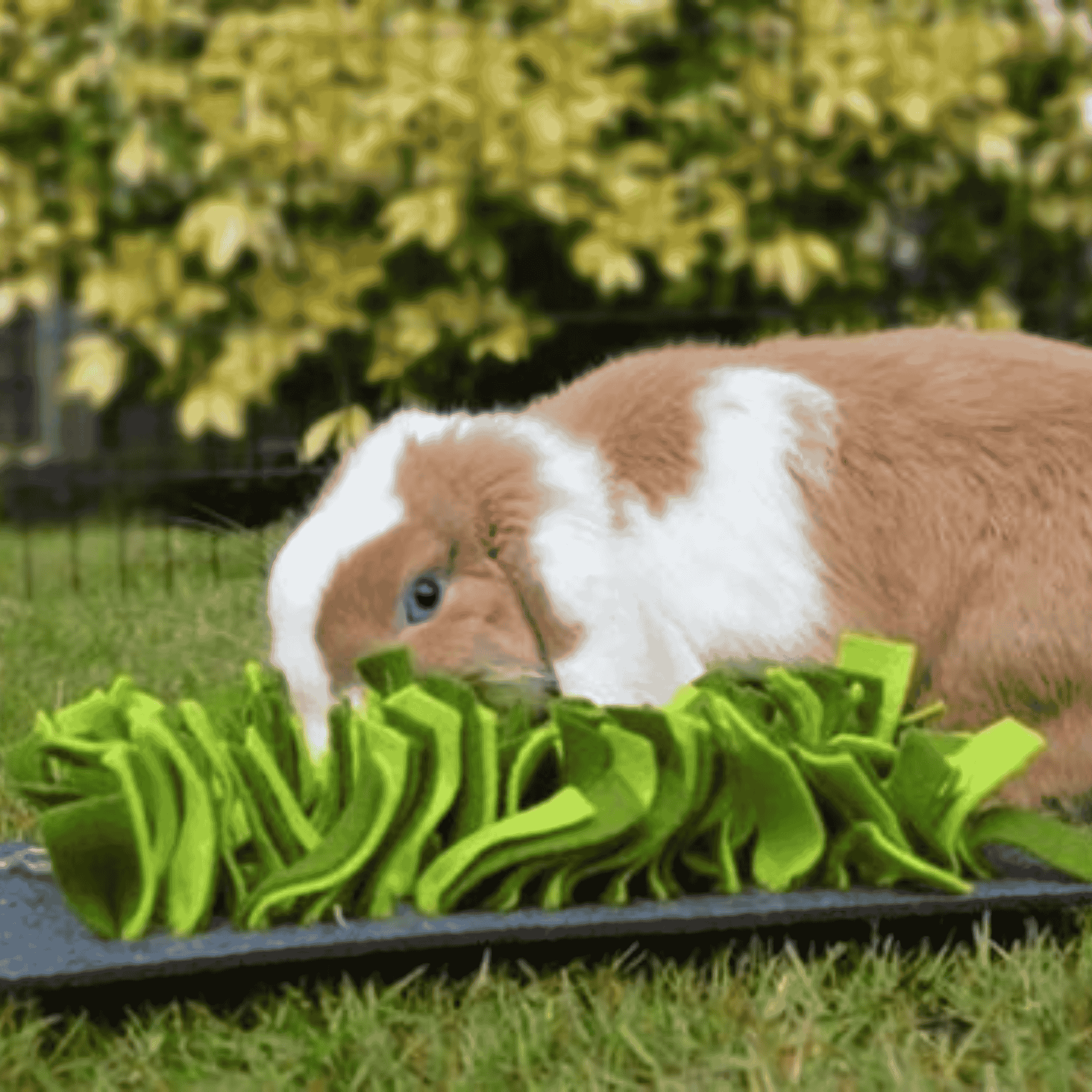Snuffle Forage Mat Toys for rabbit
