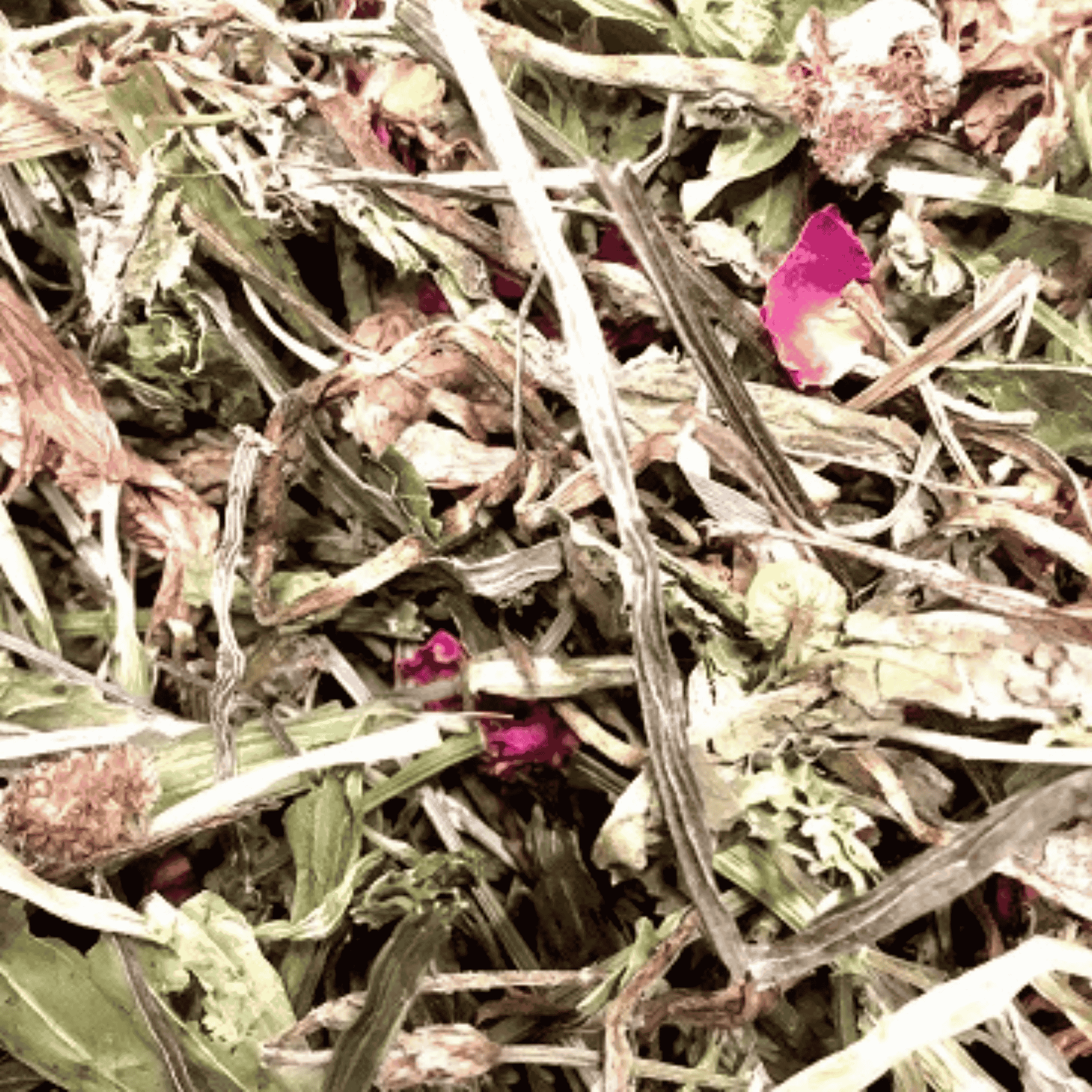 Calming Chamomile & Lavender Salad - Twigs & Burrows