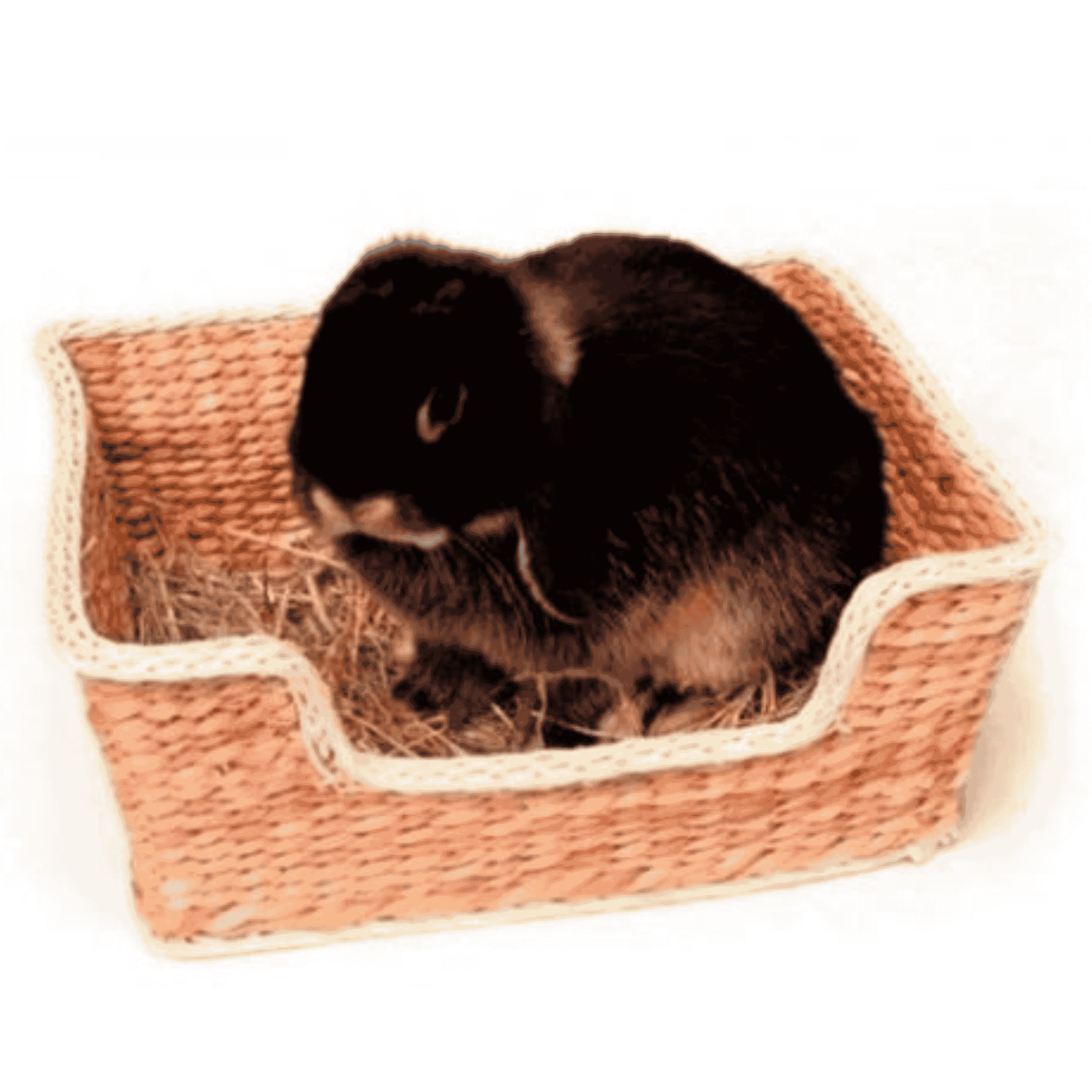 Chill 'n' Snooze Bed - Twigs & Burrows