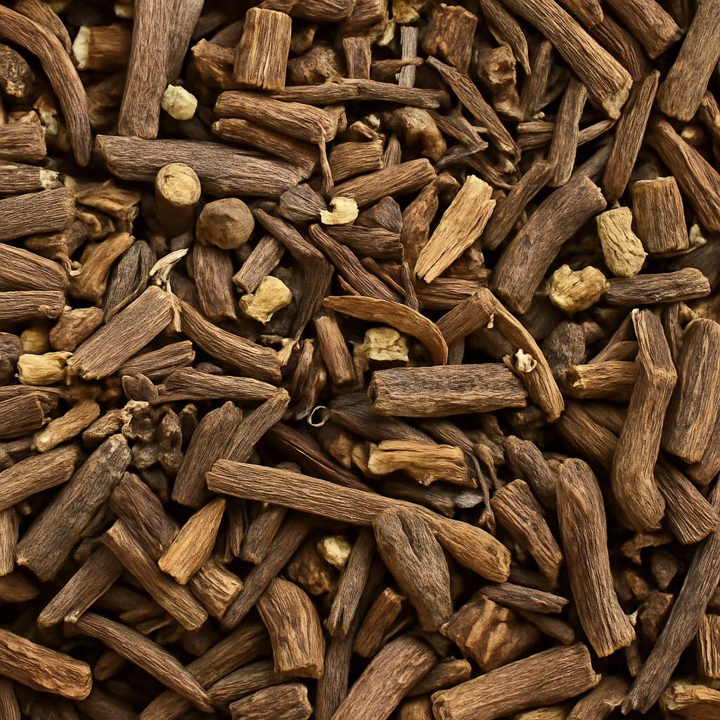 Dandelion Rootlets - Twigs & Burrows
