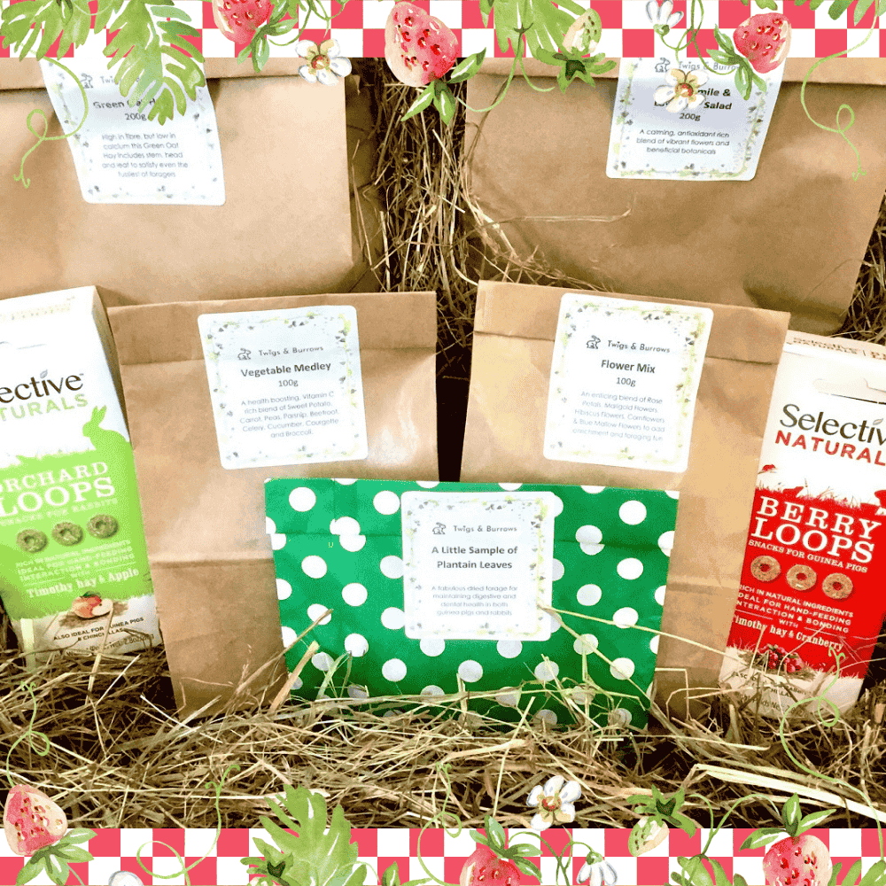 Hamper - Garden Picnic Bundle - Twigs & Burrows