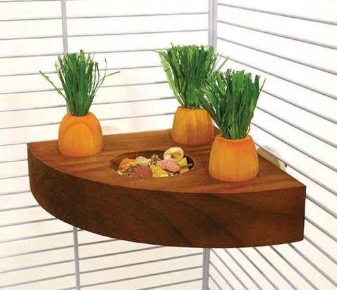 Carrot Toy 'n' Treat Holder