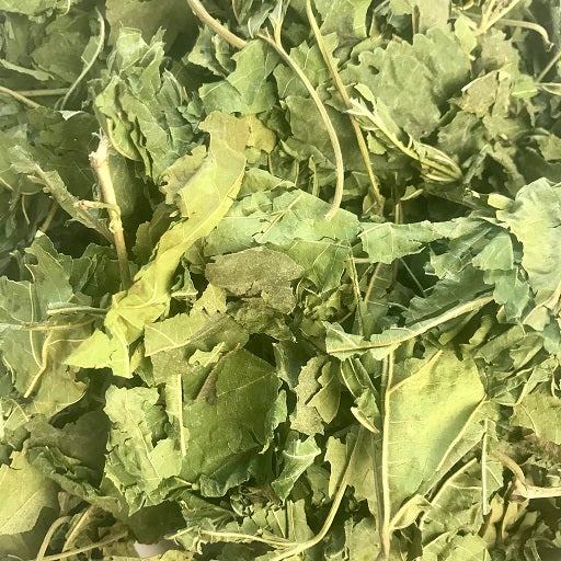 Mulberry leaf forage