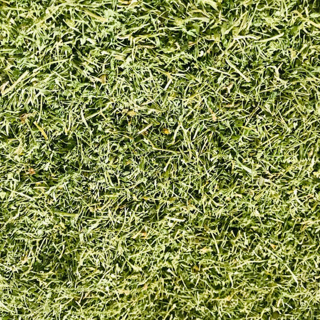 Parsley Stalks