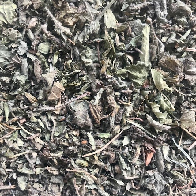Lemon Balm (Cut) - Twigs & Burrows