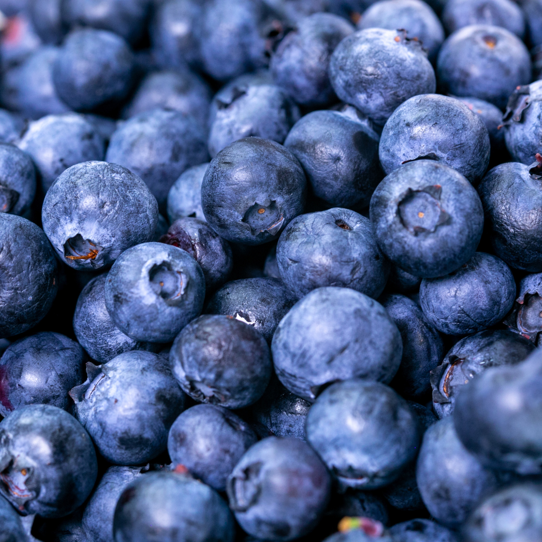 Can rabbit eat blueberries?