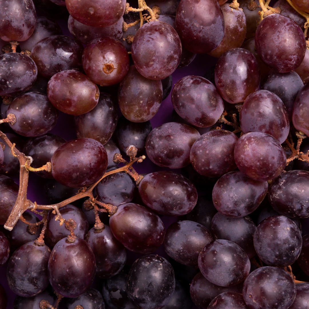 can rabbit eat grapes?