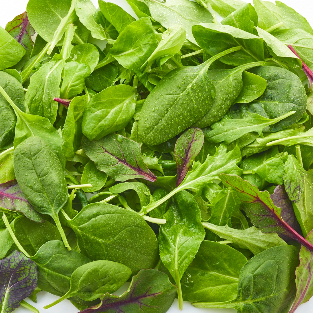 What Greens Can Rabbits Eat?