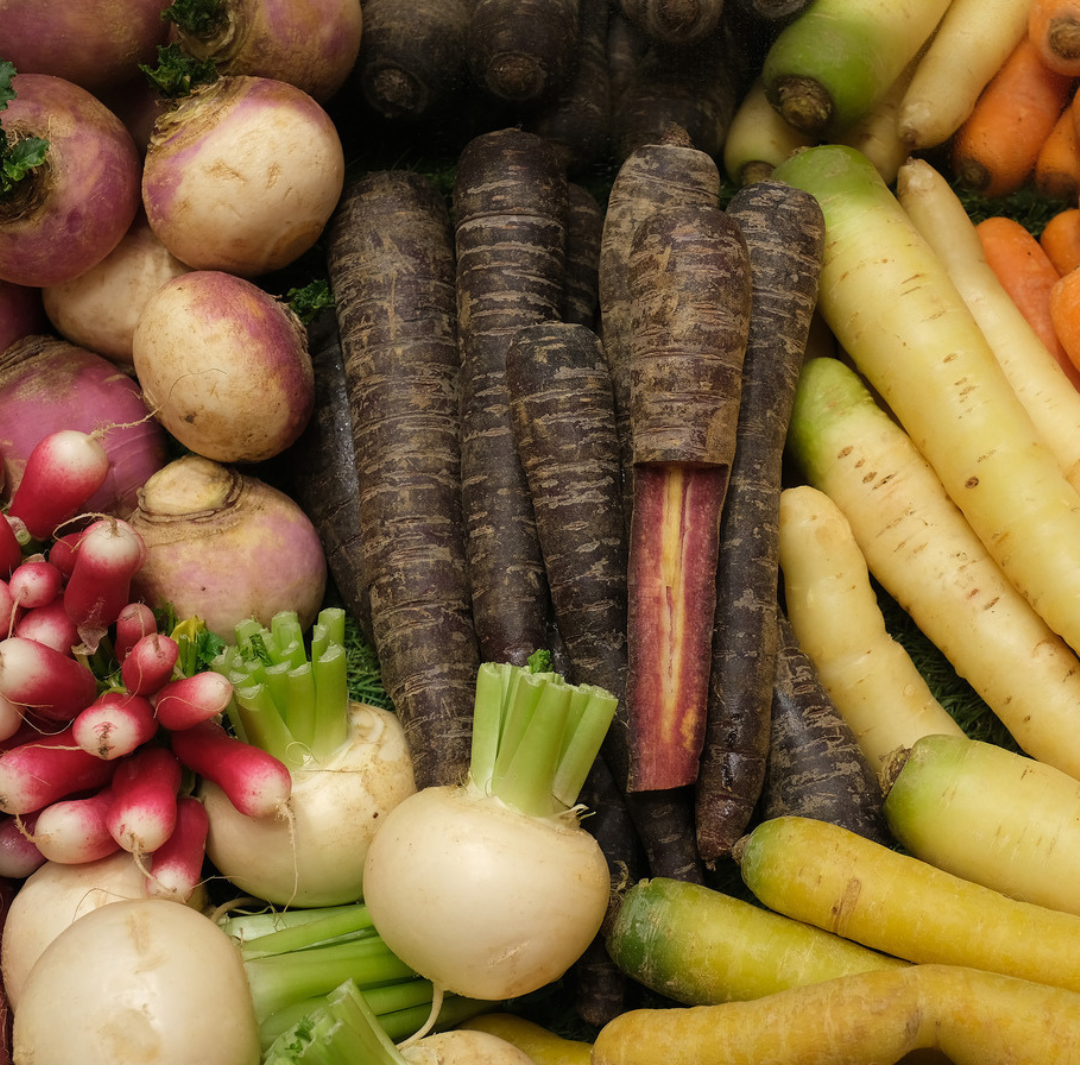 Safe Root Vegetables for Rabbits | Twigs & Burrows