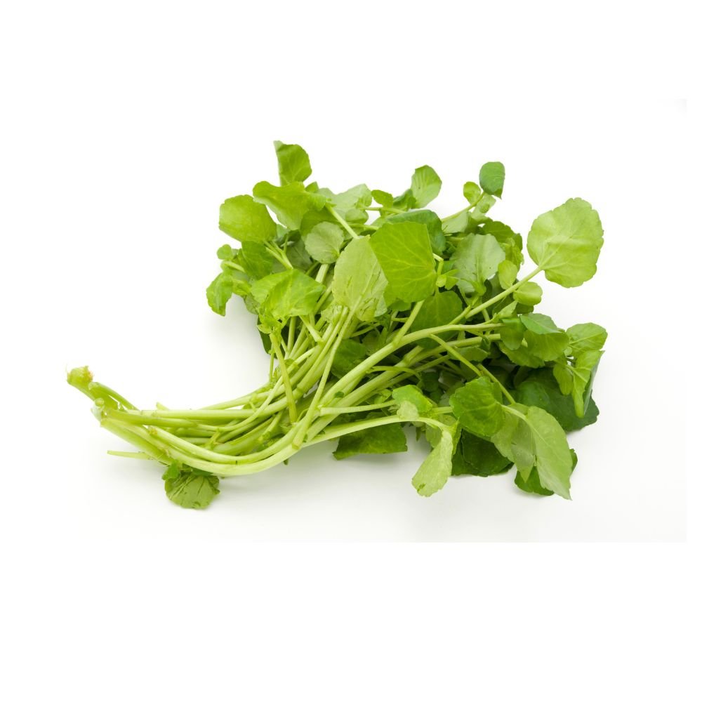 Can Bunnies Eat Watercress? - Twigs & Burrows