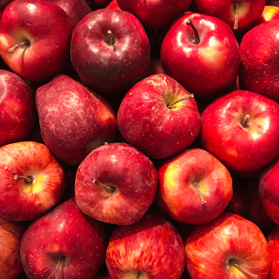 Can Rabbits Eat Apples? - Twigs & Burrows