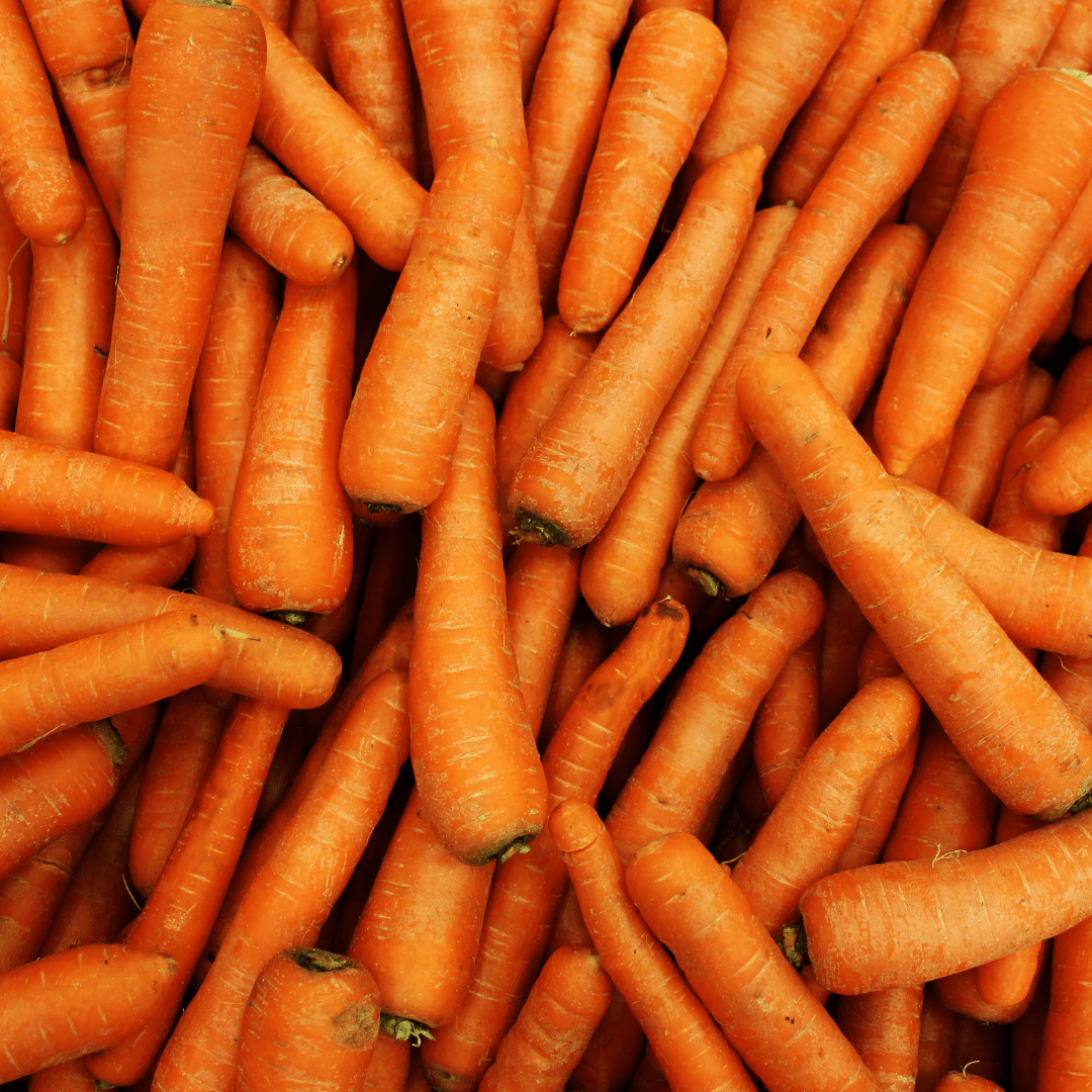 Can Rabbits Eat Carrots? A Balanced Look at Bunny Treats - Twigs & Burrows