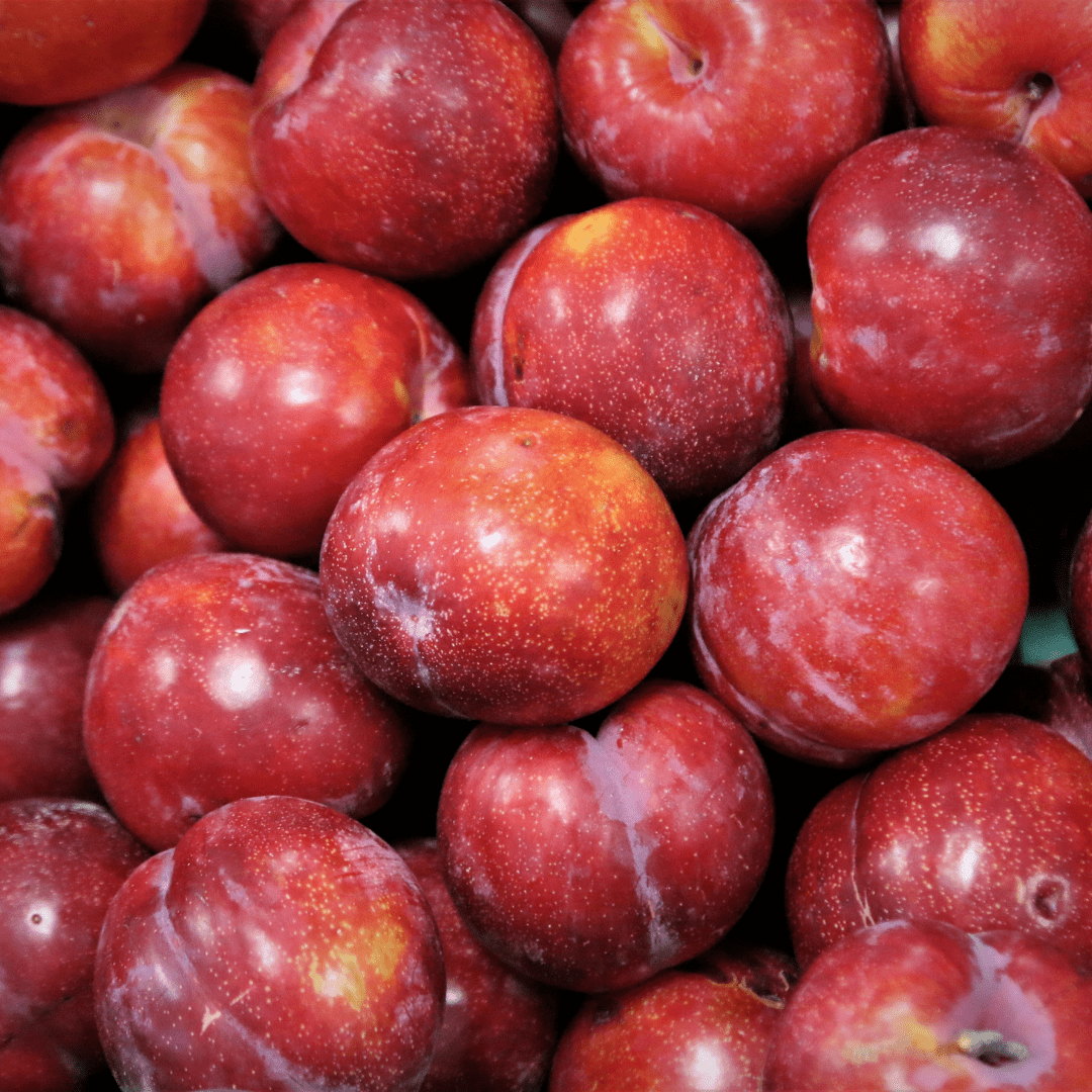 Can Rabbits Eat Plums? - Twigs & Burrows