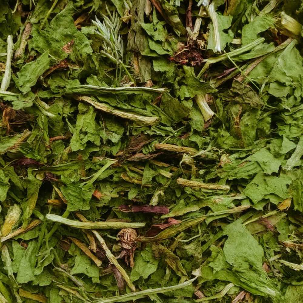 Dandelion Leaves for Rabbits & Guinea Pigs: Benefits, Feeding Guide and FAQs - Twigs & Burrows