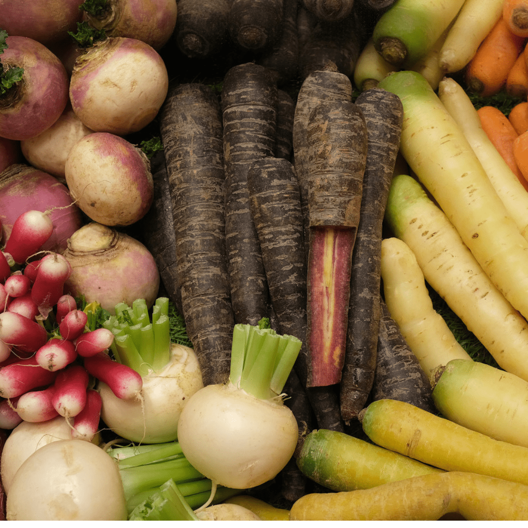 Root Veggies for Rabbits: What to Feed and Avoid - Twigs & Burrows