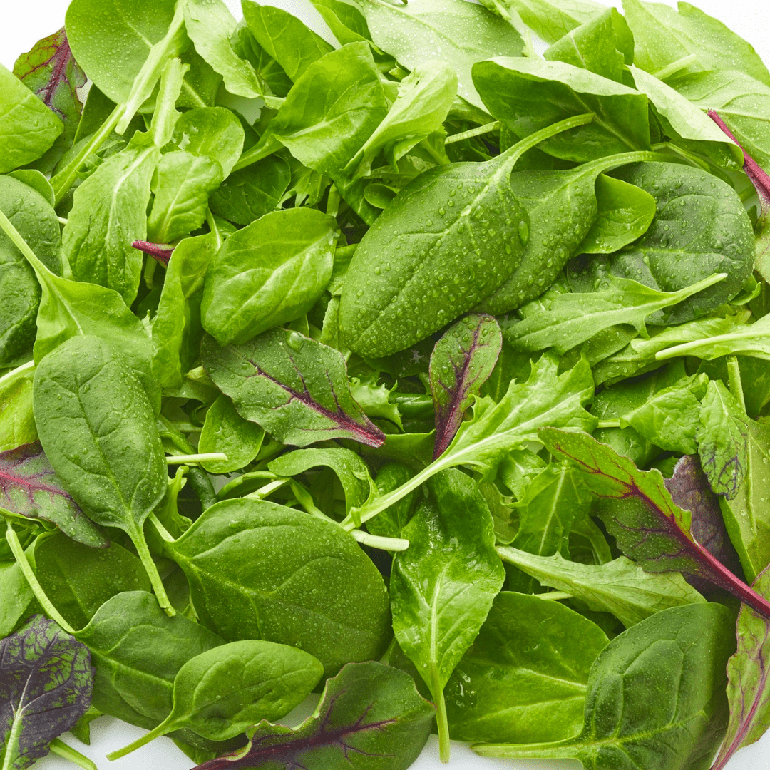 What Greens Can Rabbits Eat? A Guide to Leafy Favourites - Twigs & Burrows