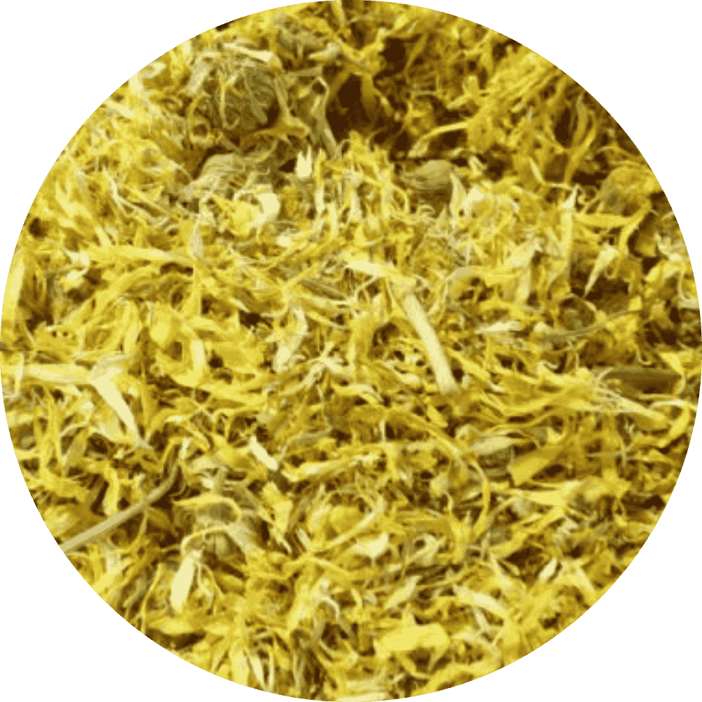 Forage & Hay - Twigs & Burrows