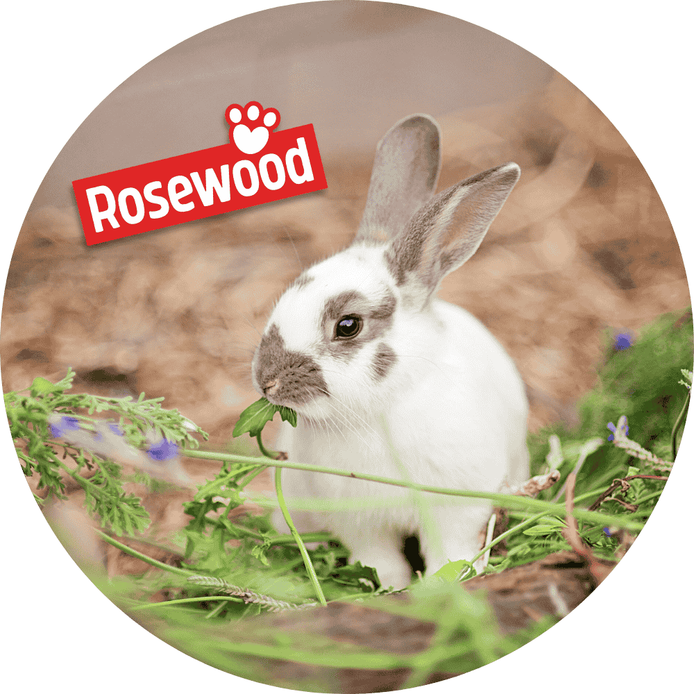 Rosewood