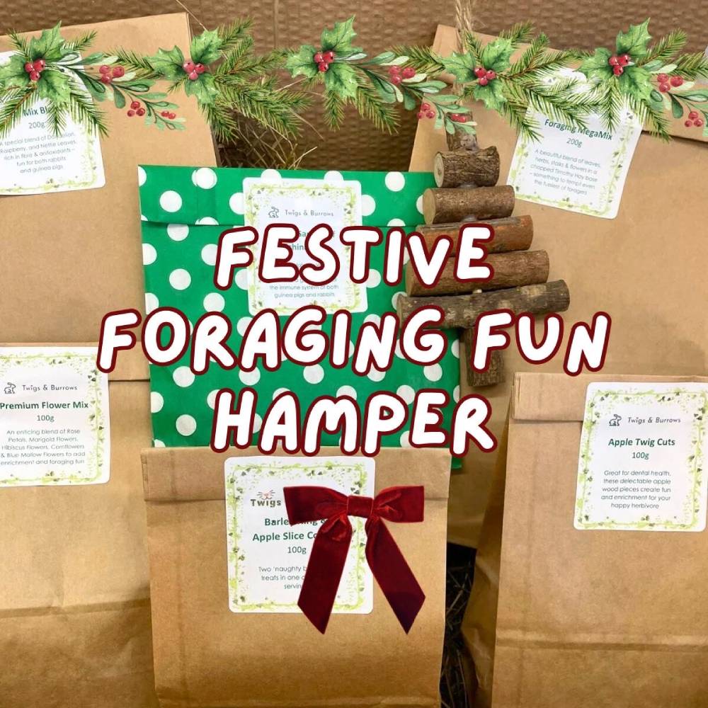 festive foraging fun hamper