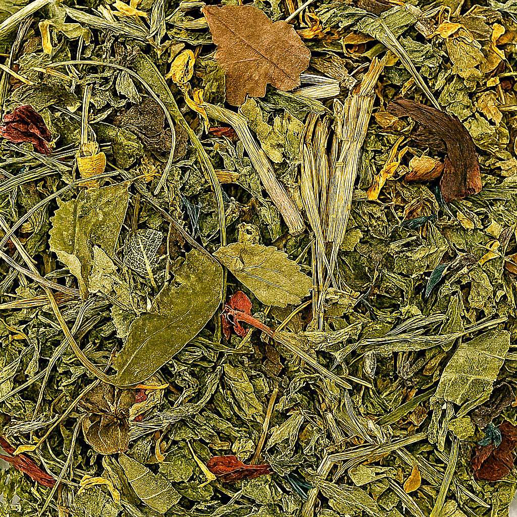 Foraging Megamix – Rabbit Forage Blend | Twigs & Burrows