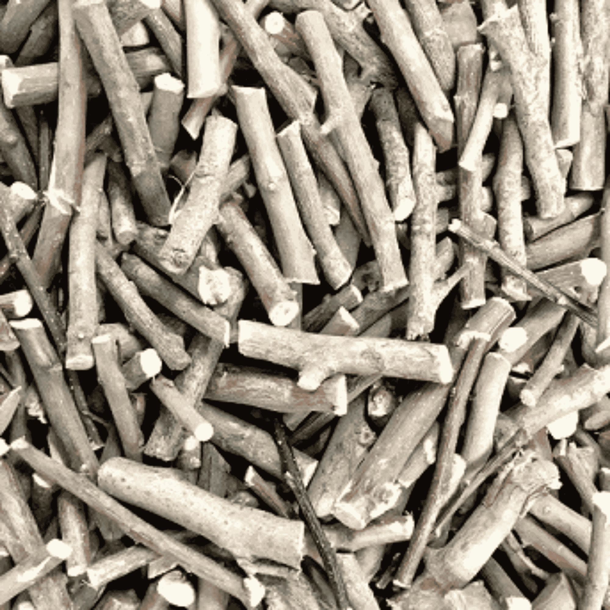 Apple Sticks - Twigs & Burrows