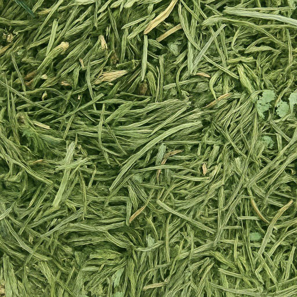 Coriander Stalks - Twigs & Burrows