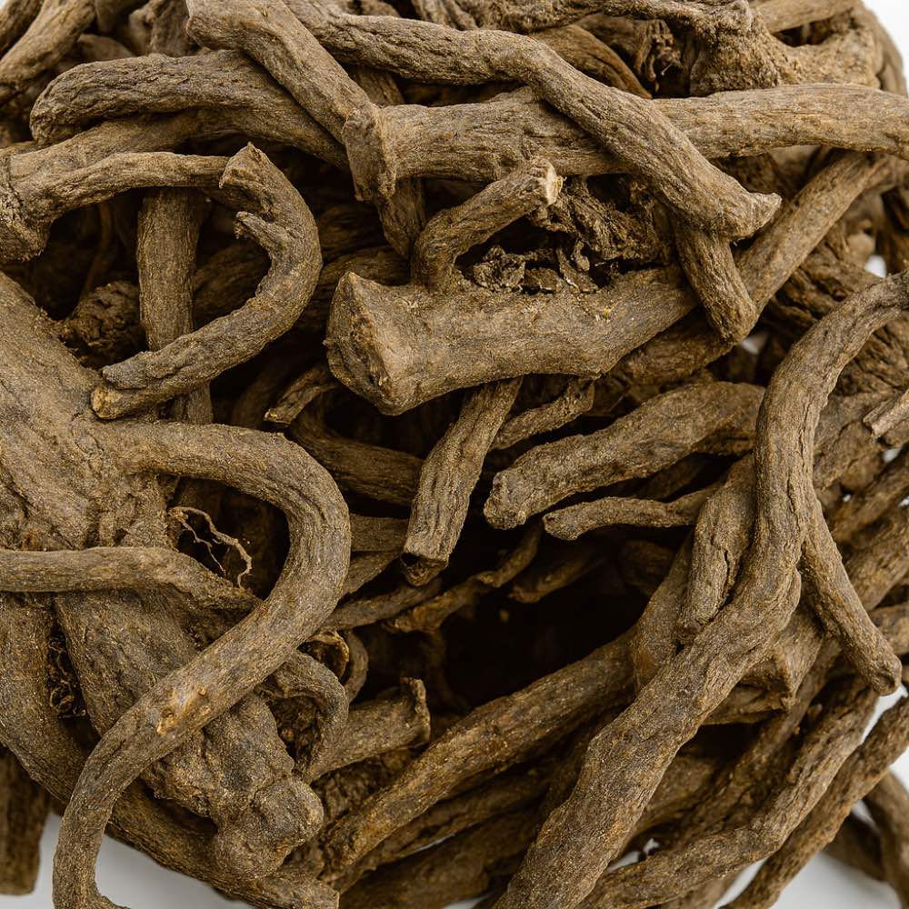 Dandelion Root - Twigs & Burrows