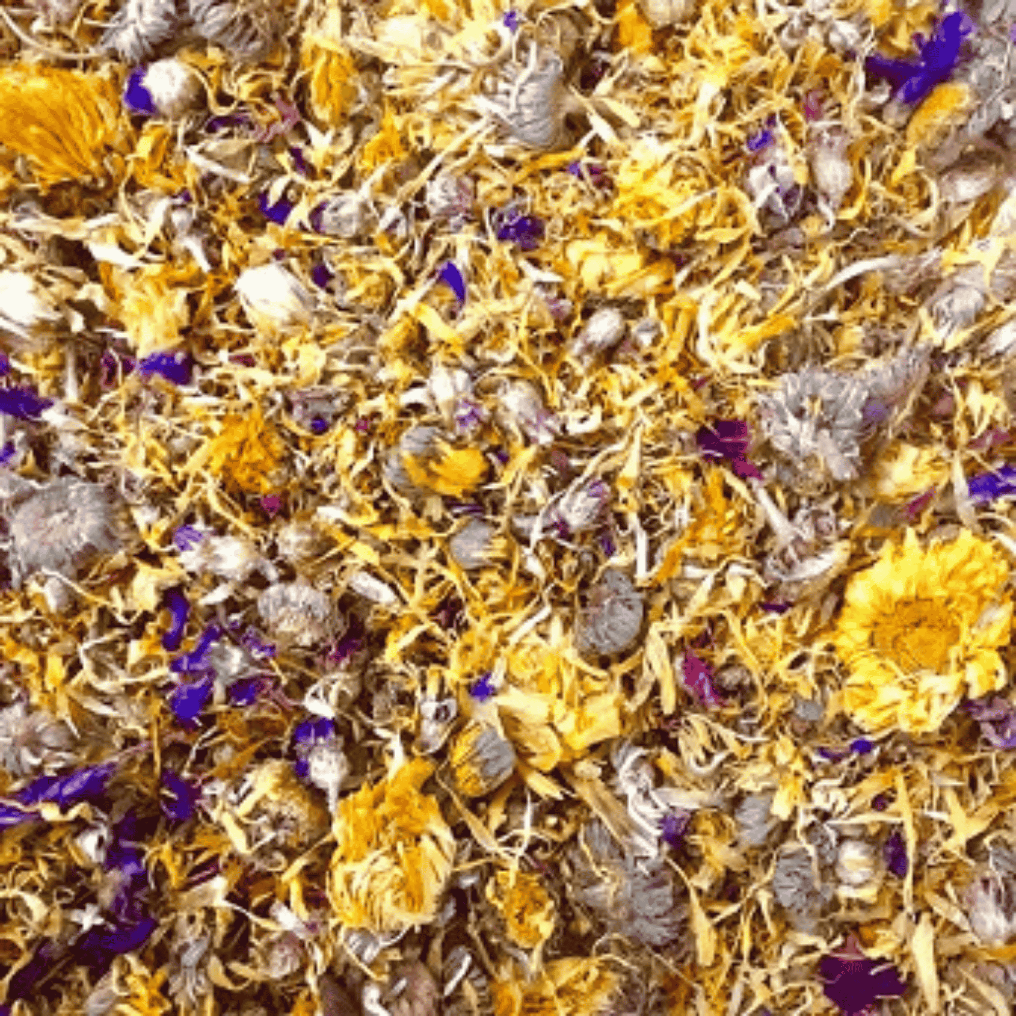 Flower Mix - Twigs & Burrows