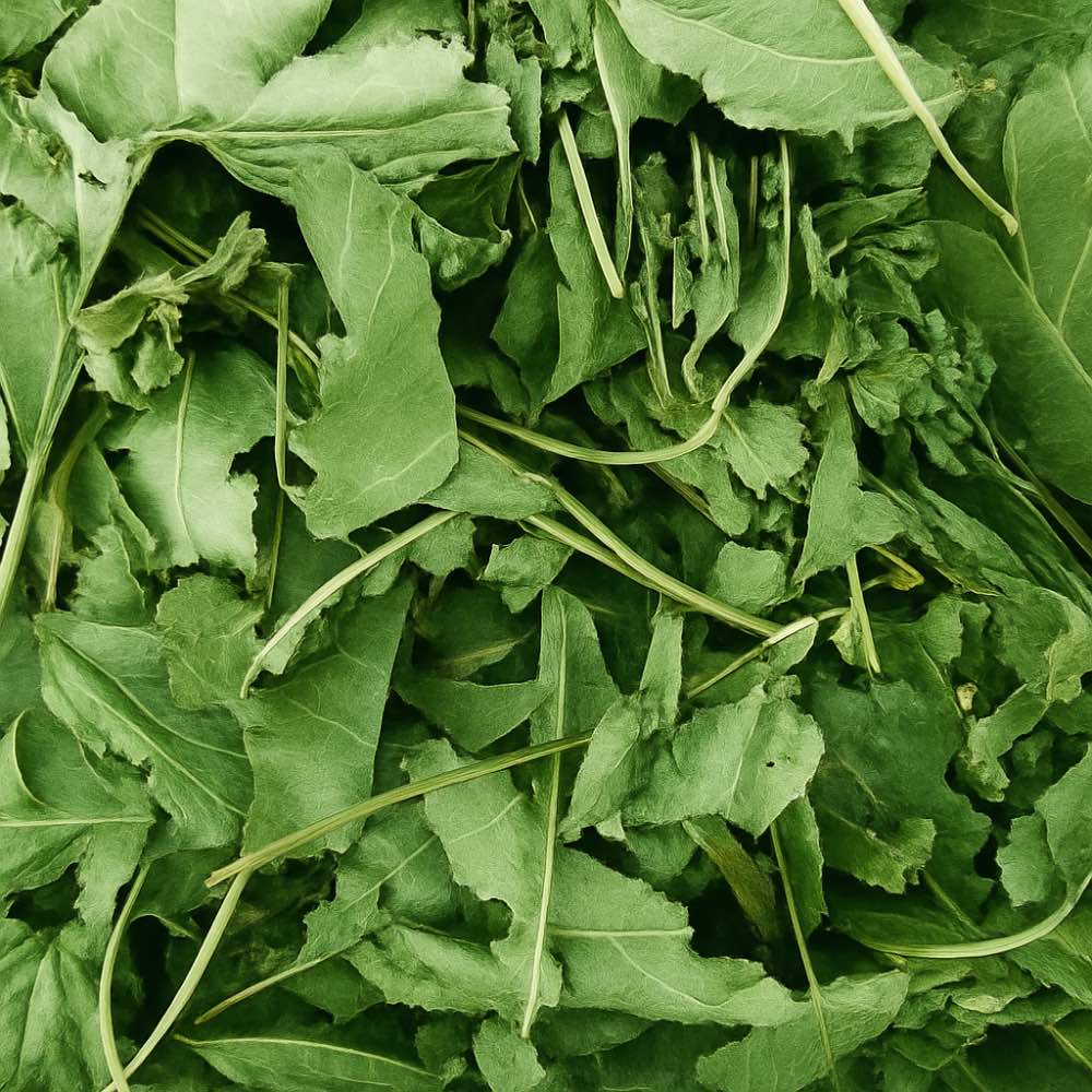 Fruit Leaf Salad Mix - Twigs & Burrows