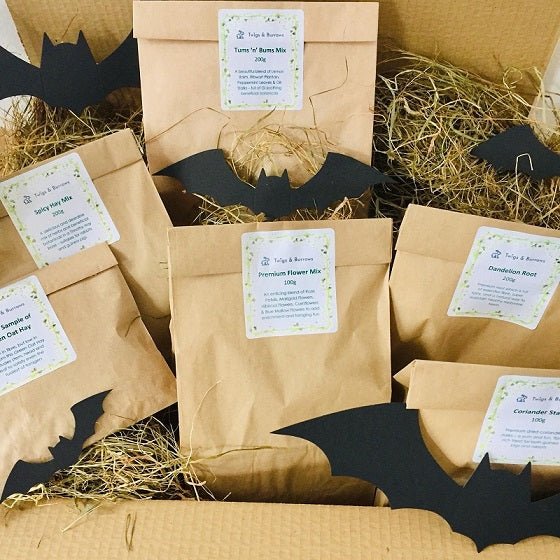 Hamper - Happy Halloween - Twigs & Burrows