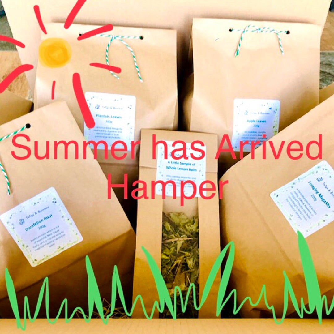 Hamper - Summer has Arrived