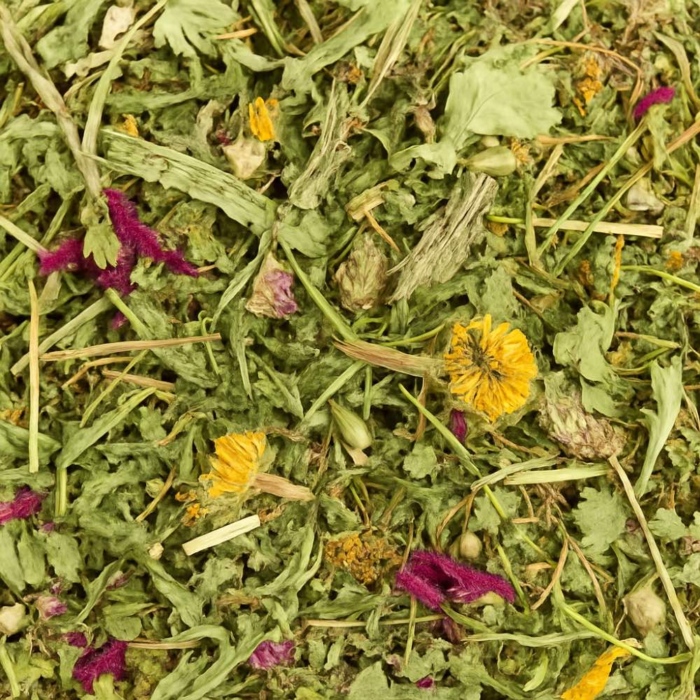 Healthy Herb & Flower Blend - Twigs & Burrows